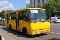 Специалисты о маршрутках и москвичах Специалисты о маршрутках и москвичах